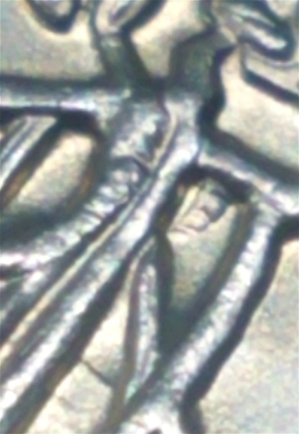 2020-P-Salt-River-Bay-Quarter-Extra-Partial-Branch-On-Reverse?